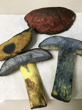 Boletus subluridellus image