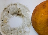 Boletus aurantiosplendens image