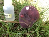 Russula mariae image