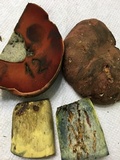 Boletus subluridellus image