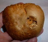 Tylopilus rhodoconius image