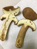 Boletus durhamensis image
