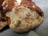 Ganoderma polychromum image