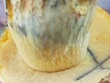 Boletus luridellus image