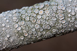 Ochrolechia africana image