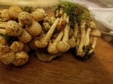 Pholiota terrestris image