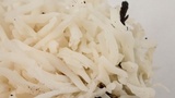 Ramariopsis kunzei image