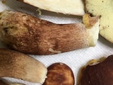 Boletus subcaerulescens image