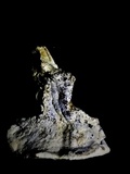 Tyromyces galactinus image