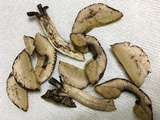 Leccinellum crocipodium image