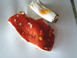 Russula cessans image