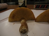 Suillus grevillei image