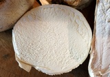 Mycenastrum corium image