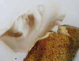 Pholiota squarrosoides image