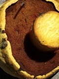 Buchwaldoboletus sphaerocephalus image