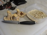 Cantharellus subalbidus image