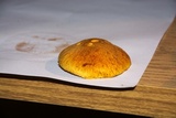 Gymnopilus luteus image