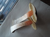 Leccinum snellii image
