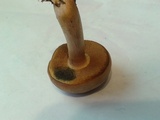 Boletus patrioticus image