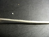 Conocybe apala image