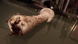 Amanita thiersii image