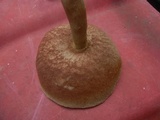 Tylopilus felleus image
