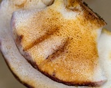 Postia fragilis image