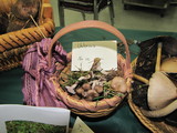 Clitocybe tarda image