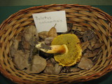 Boletus subtomentosus image