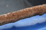 Hydnochaete olivacea image