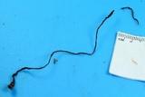 Ophiocordyceps superficialis image
