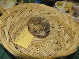 Agaricus bitorquis image