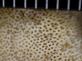 Leccinellum pseudoscabrum image