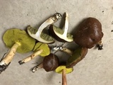 Aureoboletus auriporus image