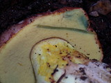 Boletus regius image