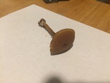 Callistosporium luteo-olivaceum image