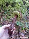 Image Associated With the Occurrence