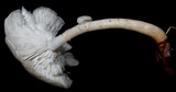 Ripartitella alba image