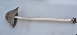 Coprinopsis picacea image