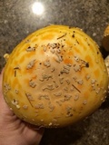 Amanita amerimuscaria image