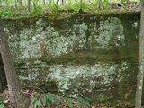 Lepraria normandinoides image