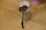 Hypholoma tuberosum image