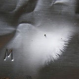 Clitocybe gibba image