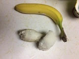 Amanita polypyramis image