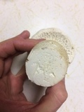 Amanita polypyramis image