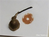 Macrocystidia cucumis image
