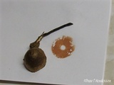 Macrocystidia cucumis image