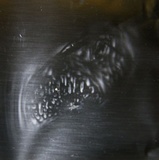Trametopsis cervina image