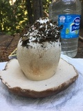 Boletus regineus image