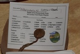 Boletus chrysenteron image